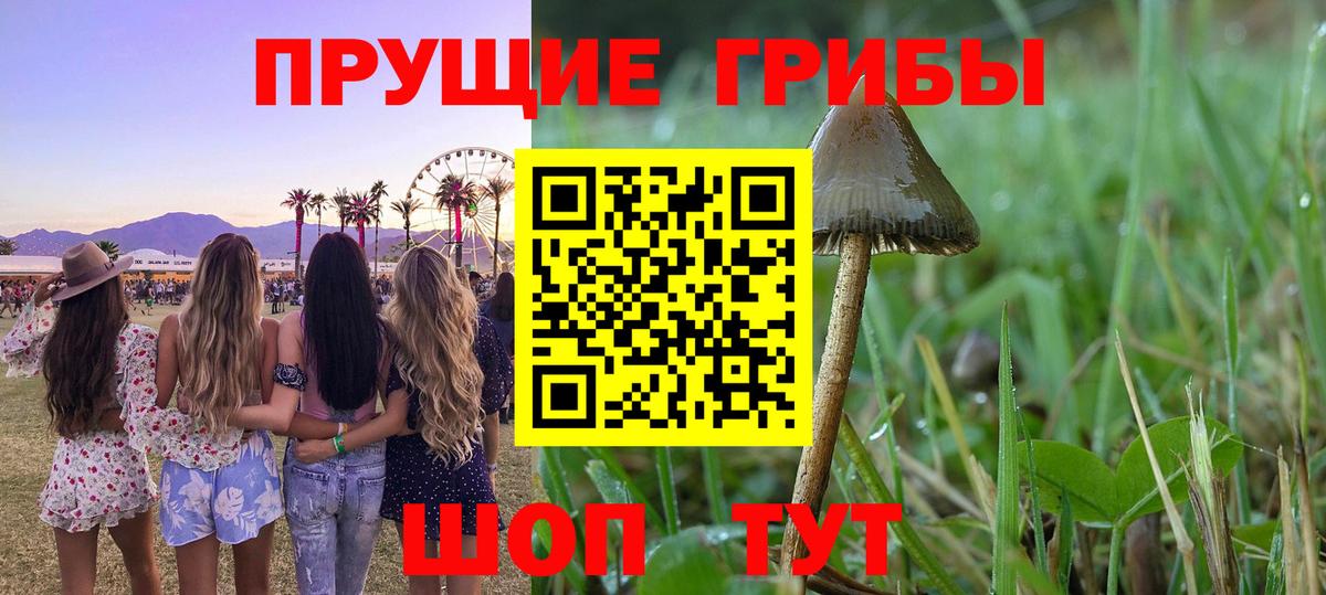 Псилоцибиновые грибы прущие грибы  Псилоцибиновые грибы Magic Shrooms  Зеленокумск  Вход с VPN 