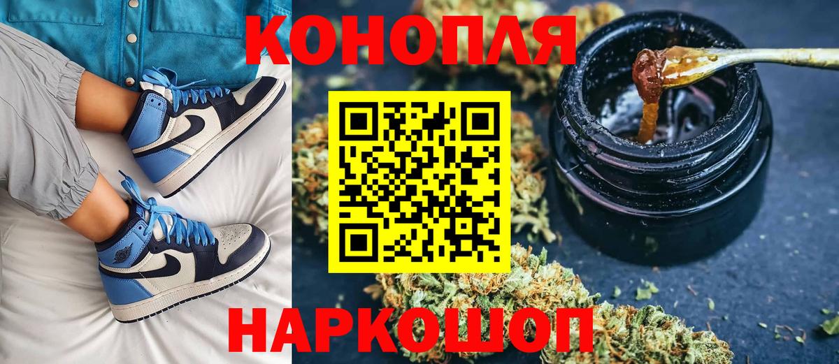 Конопля сатива Зеленокумск